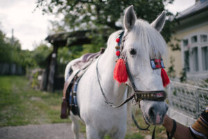 Casa Thymus evenimente private - cal