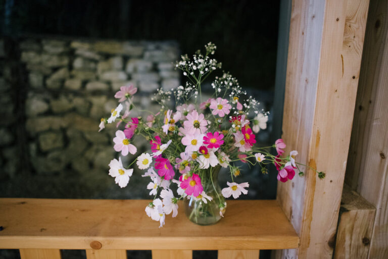 casa thymus evenimente flori