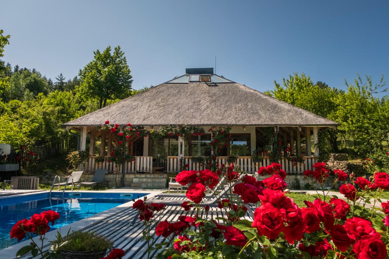 Casa Thymus trandafiri rosii