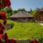 casa thymus complex evenimente private